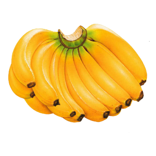 香蕉一根新鲜水果实拍免抠png图片